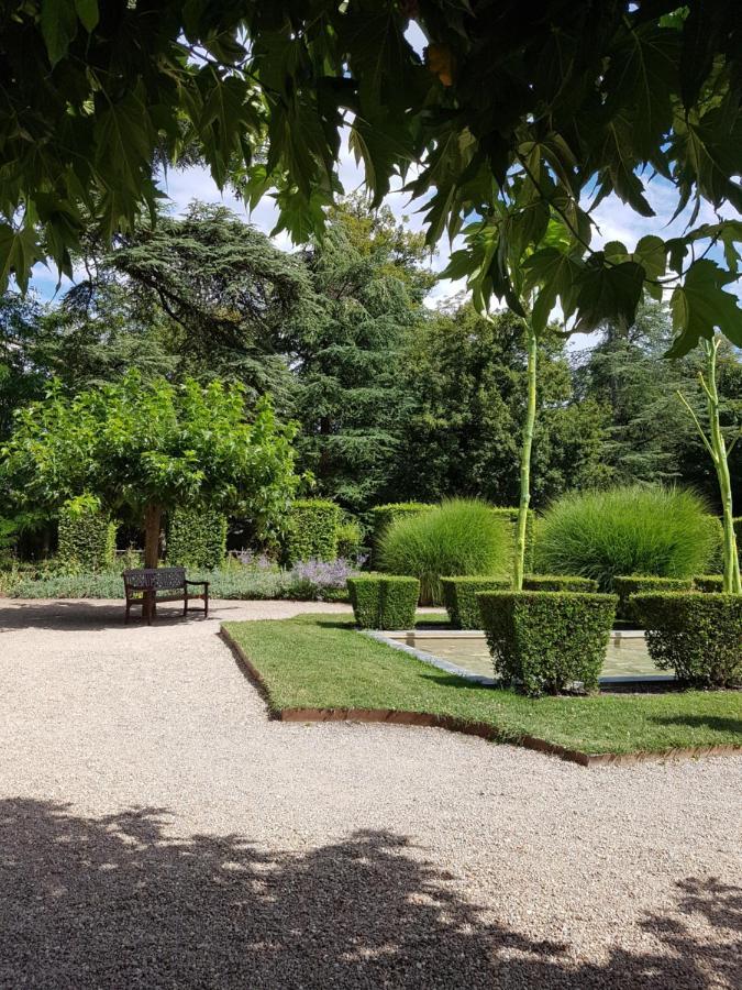 Le Clos De La Deesse La Ferte-Saint-Cyr Экстерьер фото